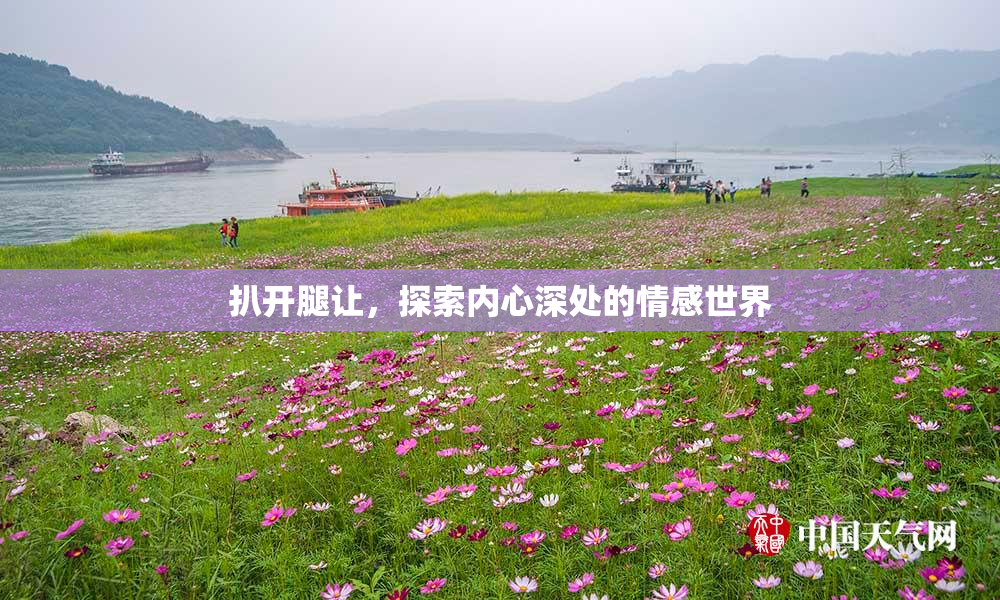 扒开腿让，探索内心深处的情感世界