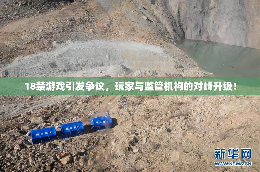 18禁游戏引发争议，玩家与监管机构的对峙升级！