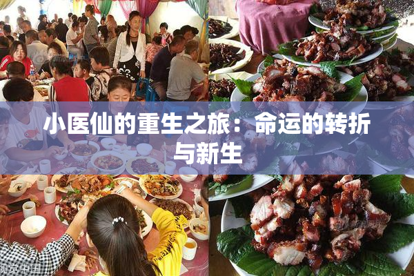 小医仙的重生之旅：命运的转折与新生