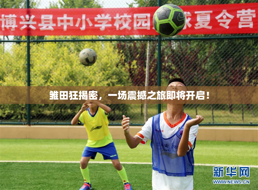 雏田狂揭密，一场震撼之旅即将开启！