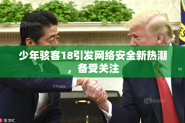 少年骇客18引发网络安全新热潮，备受关注