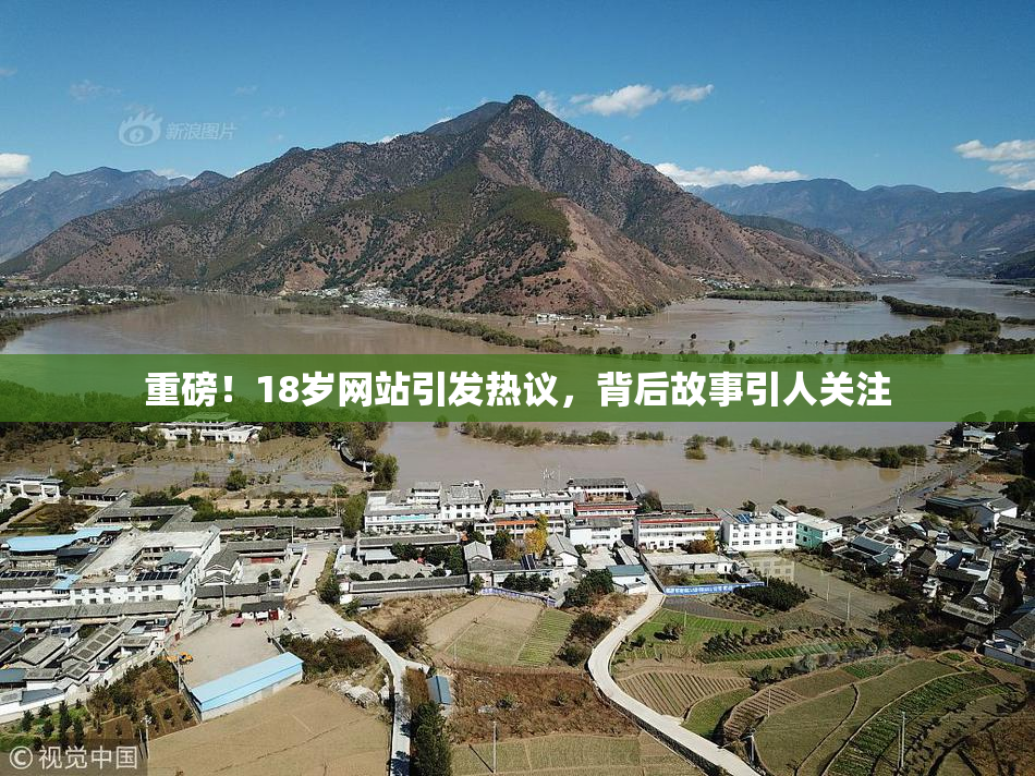 重磅！18岁网站引发热议，背后故事引人关注