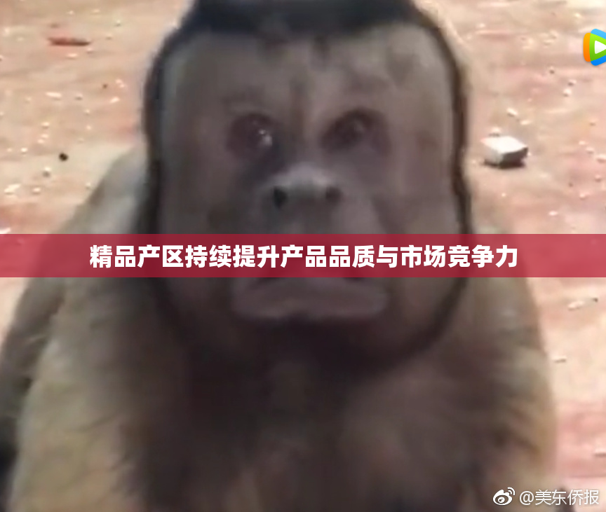 精品产区持续提升产品品质与市场竞争力