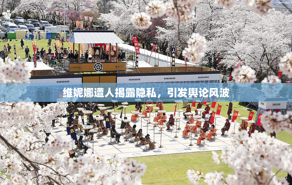 维妮娜遭人揭露隐私，引发舆论风波