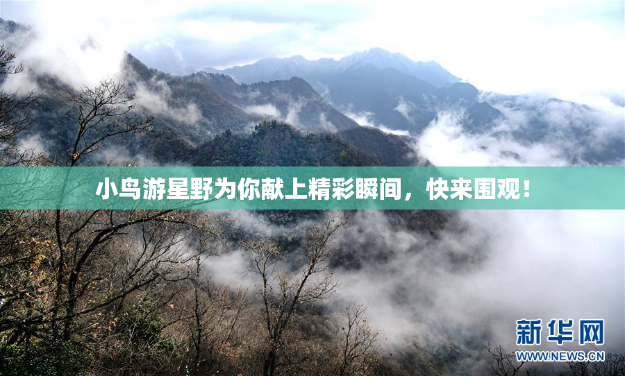 小鸟游星野为你献上精彩瞬间，快来围观！