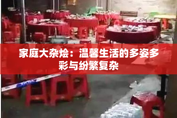 家庭大杂烩：温馨生活的多姿多彩与纷繁复杂