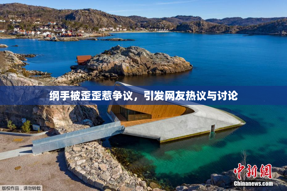 纲手被歪歪惹争议，引发网友热议与讨论