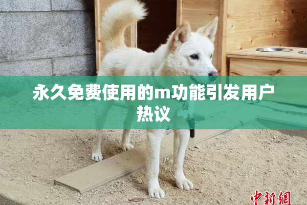 永久免费使用的m功能引发用户热议