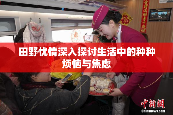田野忧情深入探讨生活中的种种烦恼与焦虑