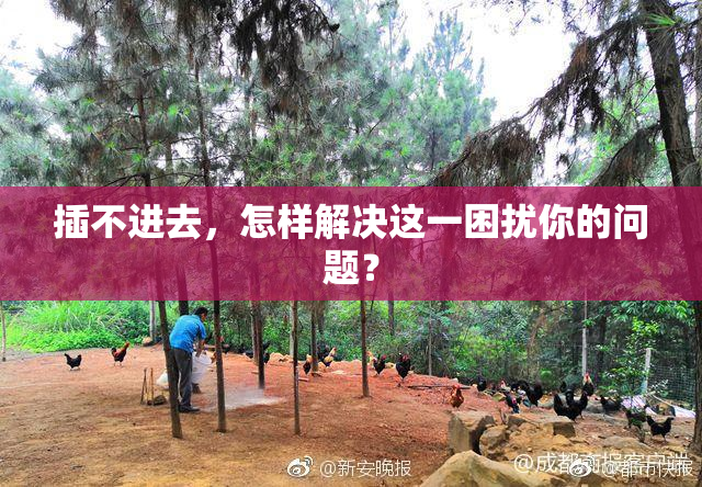 插不进去，怎样解决这一困扰你的问题？