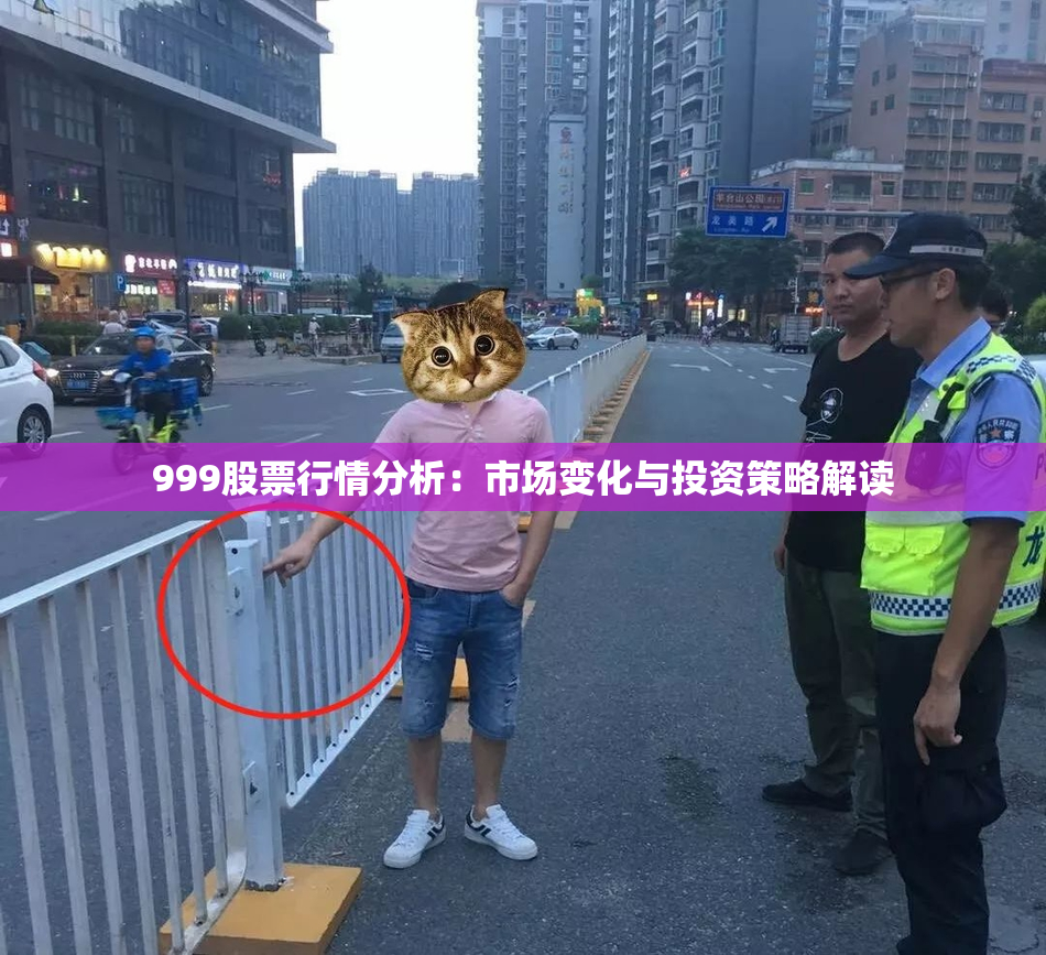 999股票行情分析：市场变化与投资策略解读