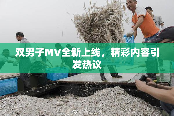 双男子MV全新上线，精彩内容引发热议
