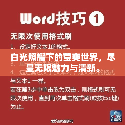 白光照耀下的莹爽世界，尽显无限魅力与清新。