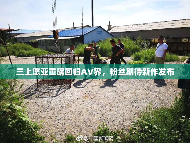 三上悠亚重磅回归AV界，粉丝期待新作发布