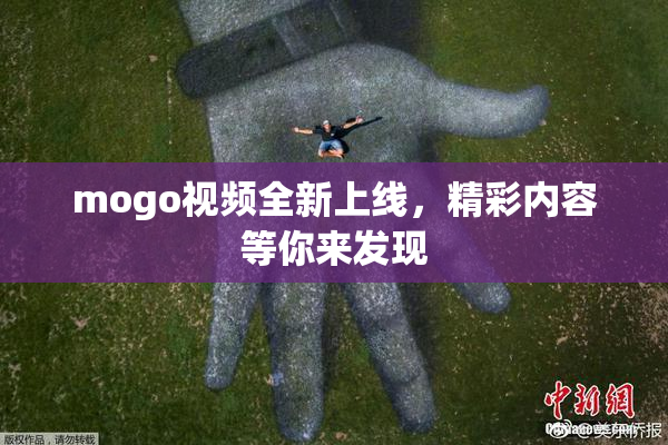 mogo视频全新上线，精彩内容等你来发现