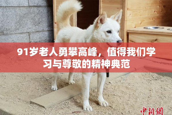 91岁老人勇攀高峰，值得我们学习与尊敬的精神典范