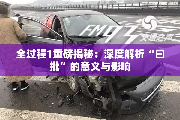 全过程1重磅揭秘：深度解析“曰批”的意义与影响