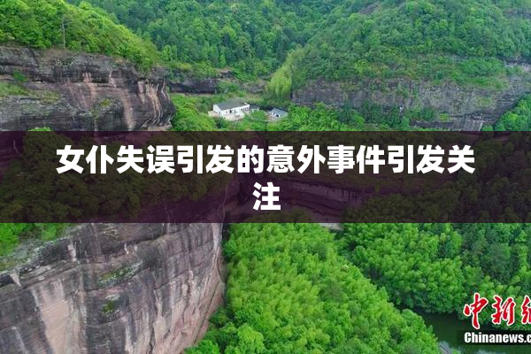 女仆失误引发的意外事件引发关注