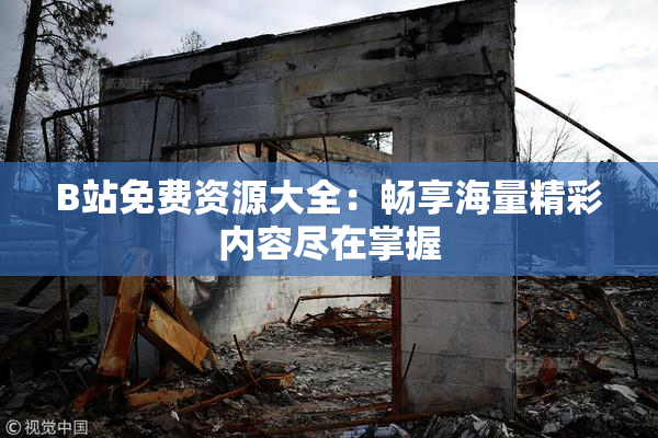 B站免费资源大全：畅享海量精彩内容尽在掌握