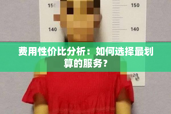 费用性价比分析：如何选择最划算的服务？