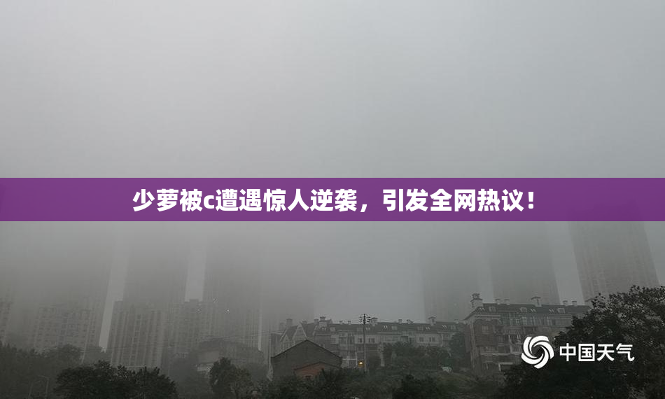 少萝被c遭遇惊人逆袭，引发全网热议！