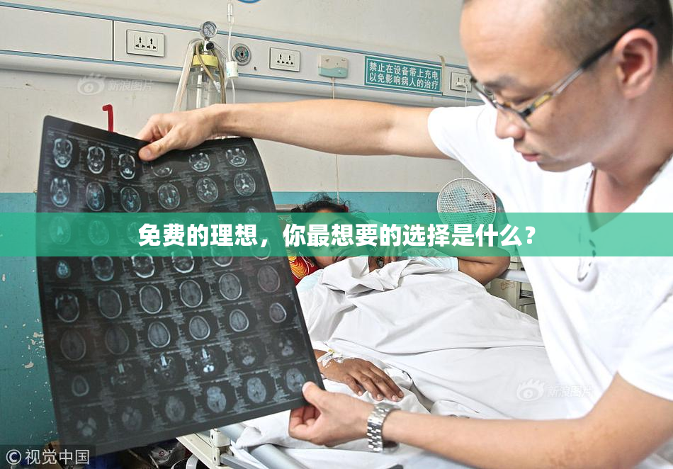 免费的理想，你最想要的选择是什么？