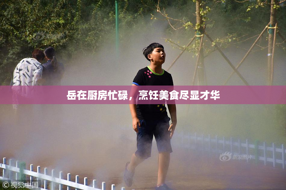 岳在厨房忙碌，烹饪美食尽显才华