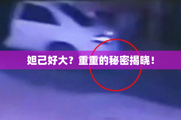 妲己好大？重重的秘密揭晓！