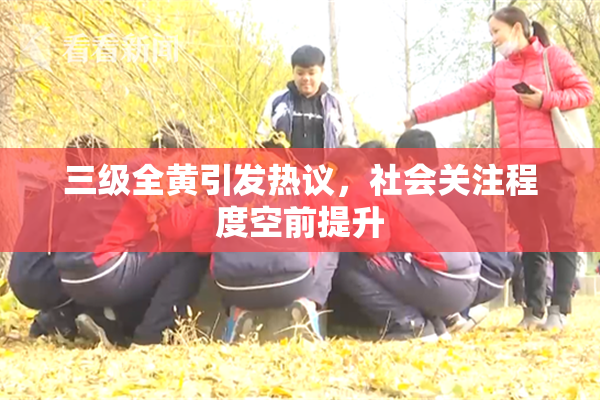 三级全黄引发热议，社会关注程度空前提升