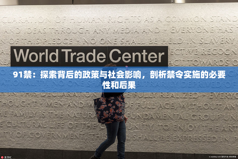 91禁：探索背后的政策与社会影响，剖析禁令实施的必要性和后果