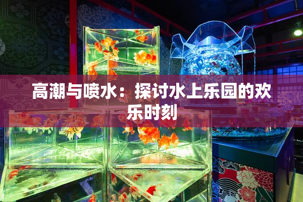 高潮与喷水：探讨水上乐园的欢乐时刻
