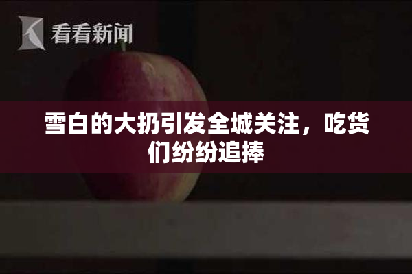 雪白的大扔引发全城关注，吃货们纷纷追捧