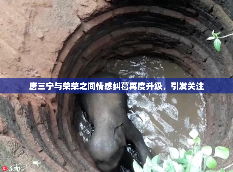 唐三宁与荣荣之间情感纠葛再度升级，引发关注
