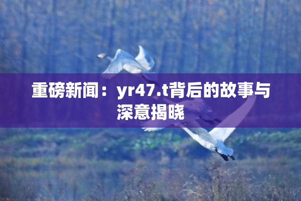 重磅新闻：yr47.t背后的故事与深意揭晓