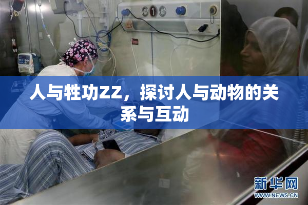 人与牲功ZZ，探讨人与动物的关系与互动