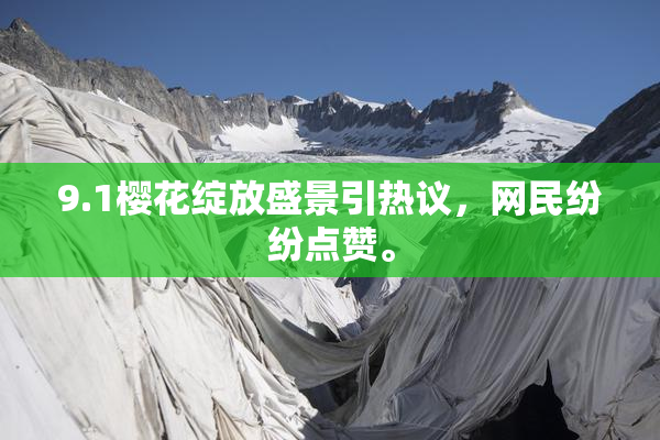 9.1樱花绽放盛景引热议，网民纷纷点赞。