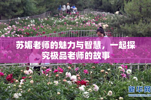 苏媚老师的魅力与智慧，一起探究极品老师的故事