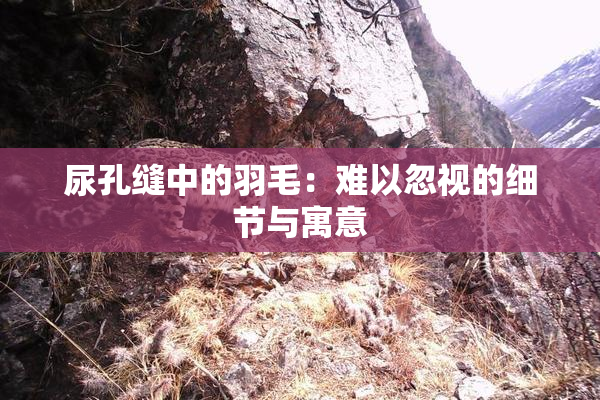 尿孔缝中的羽毛：难以忽视的细节与寓意