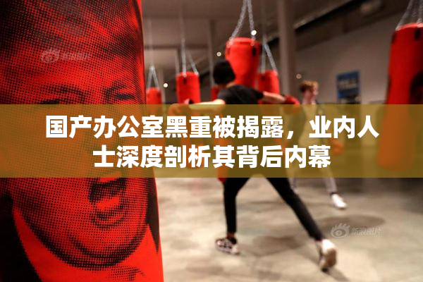 国产办公室黑重被揭露，业内人士深度剖析其背后内幕