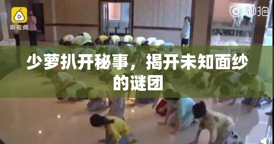 少萝扒开秘事，揭开未知面纱的谜团