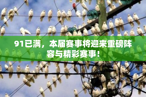 91已满，本届赛事将迎来重磅阵容与精彩赛事！