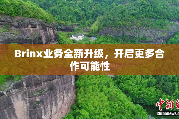 Brinx业务全新升级，开启更多合作可能性
