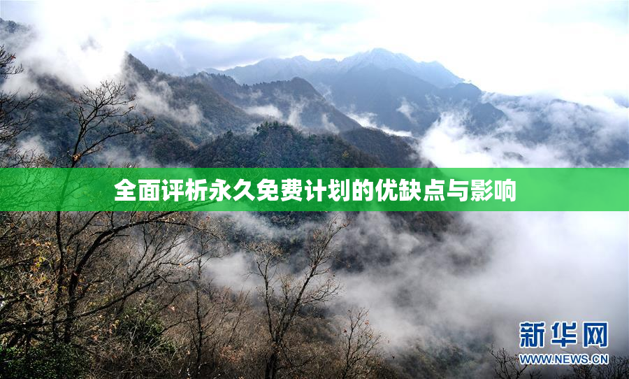 全面评析永久免费计划的优缺点与影响