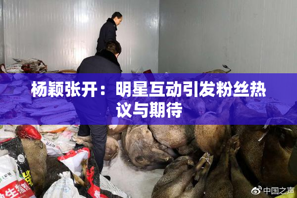 杨颖张开：明星互动引发粉丝热议与期待