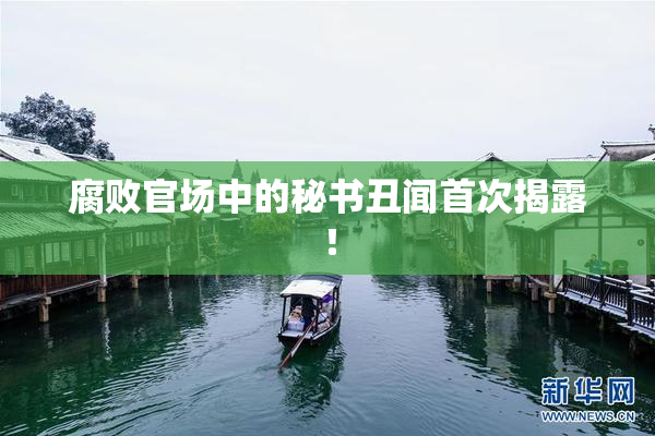 腐败官场中的秘书丑闻首次揭露！