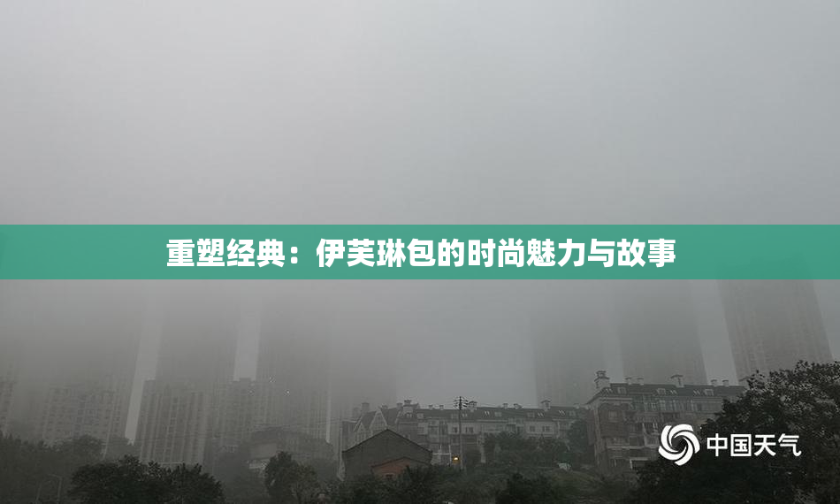 重塑经典：伊芙琳包的时尚魅力与故事