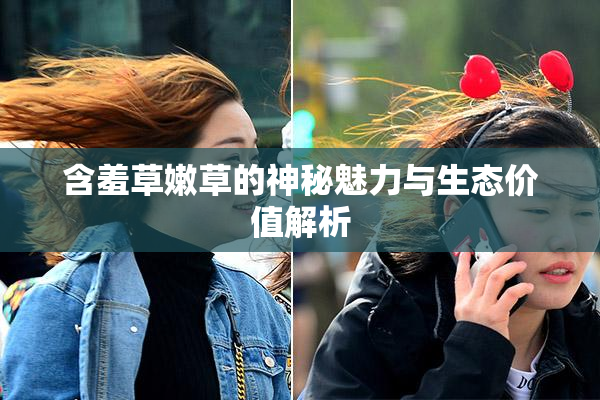含羞草嫩草的神秘魅力与生态价值解析