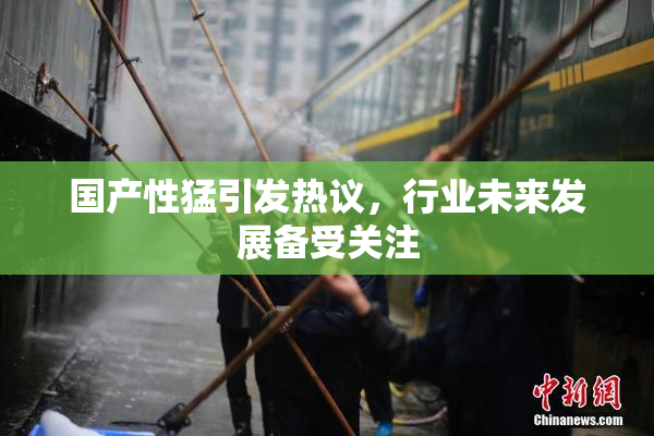 国产性猛引发热议，行业未来发展备受关注