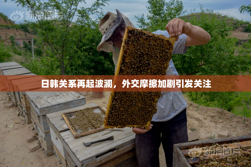 日韩关系再起波澜，外交摩擦加剧引发关注