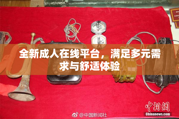全新成人在线平台，满足多元需求与舒适体验